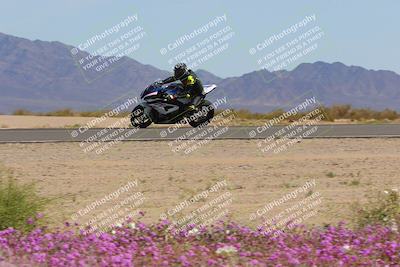 media/Mar-12-2023-SoCal Trackdays (Sun) [[d4c8249724]]/Turn 15 Inside Bloom (130pm)/